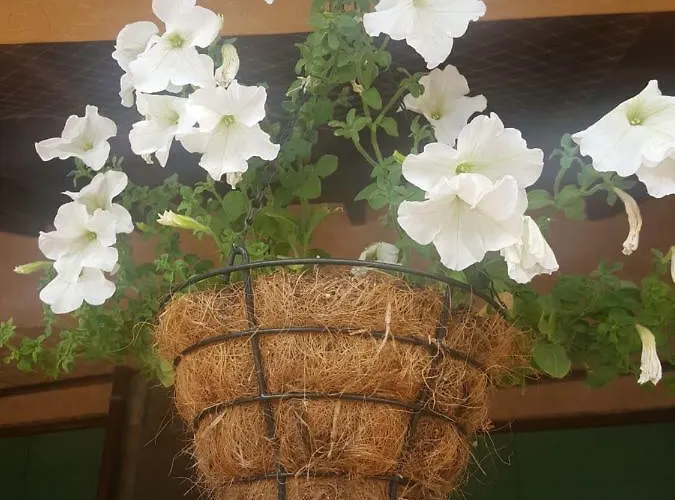 黄金梦大厦酒店 公寓式酒店